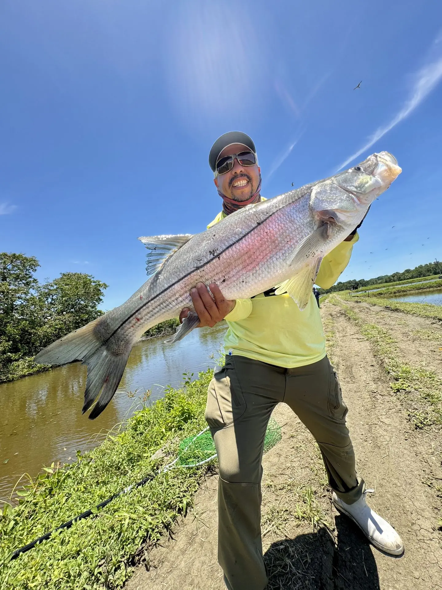 Señuelo crankbait para robalo- tienda de pesca Canbra