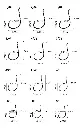 imagen principal_04.webp