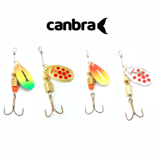 Cucharilla Canbra #2 